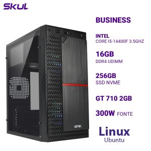 COMPUTADOR B500 CORE I5-14400F 3.5GHZ MEM 16GB DDR4 SSD 256GB NVME GT 710 2GB FONTE 300W  LINUX UBUNTU