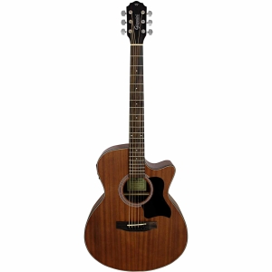 VIOLAO ACO ELETROACUSTICO GIANNINI PERFORMANCE PLUS GGC PLUS CEQ WS