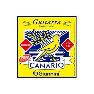 ENCORDOAMENTO GUITARRA GESGT9