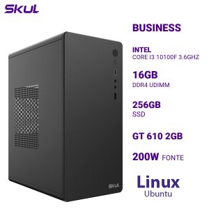 COMPUTADOR B300 CORE I3 10100F 3.6GHZ MEM 16GB DDR4 SSD 256GB GT 610 2GB FONTE 200W LINUX UBUNTU